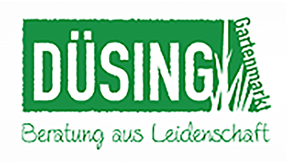 Düsing