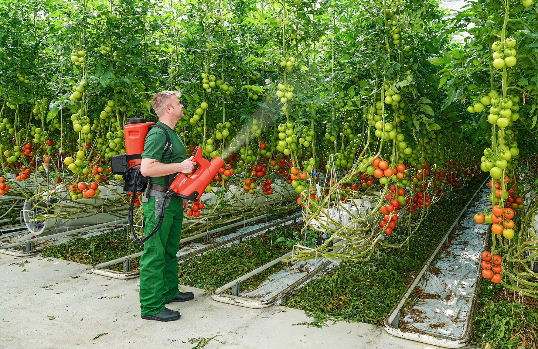Birchmeier Akku-Sprühgebläse für eine optimale Bestandsdurchdringung im Gemüsebau