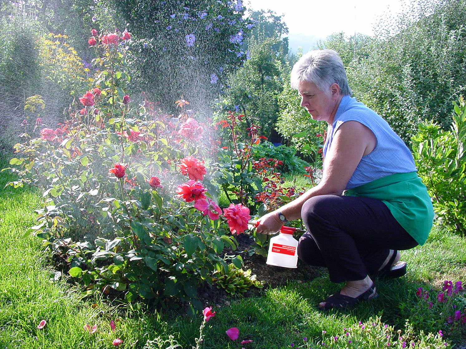 Application Florajet