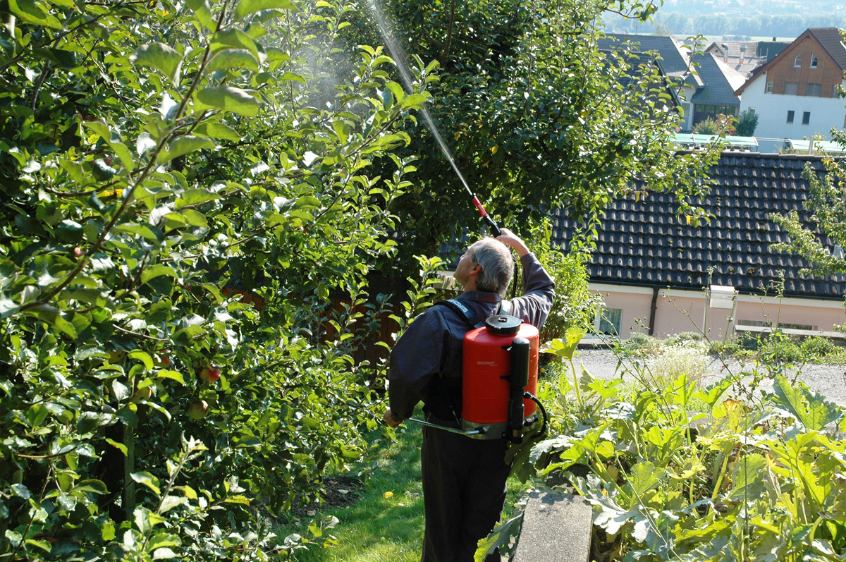 Rückensprühgerät Flox von Birchmeier - Obstbau, Bäume spritzen