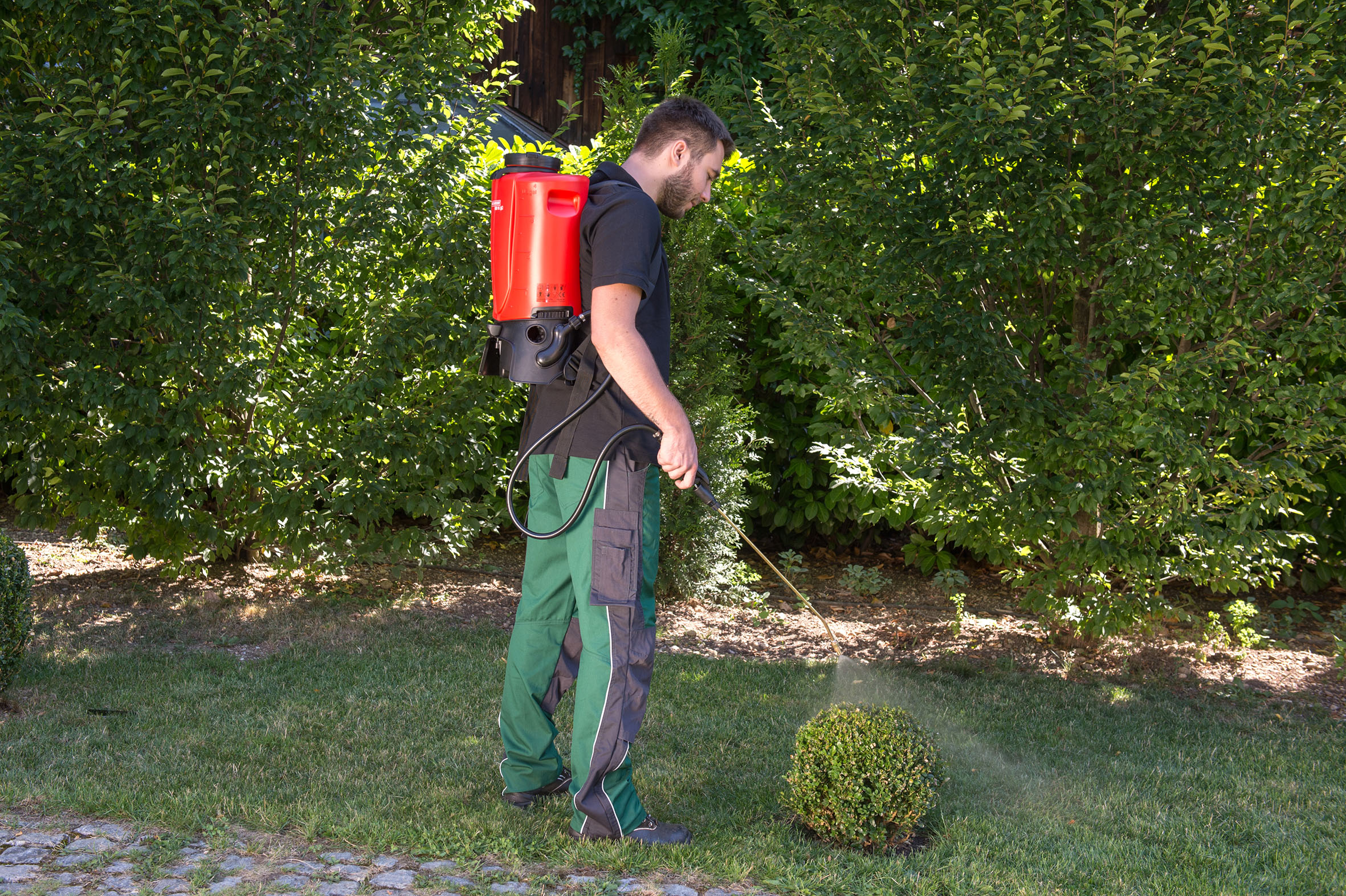 Akku-Rückensprühgerät REB 15 von Birchmeier zum Bekämpfen des Buchsbaumzünslers, Galabau