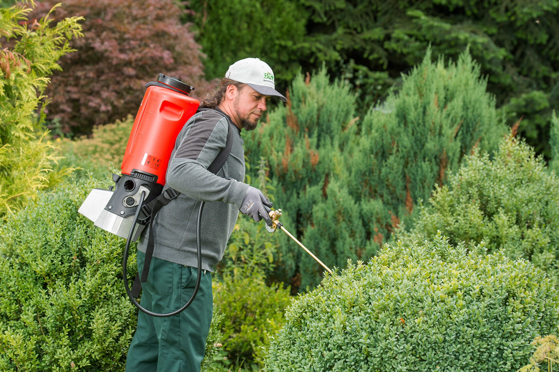 Akku-Rückensprühgerät REX 15 mit starkem Lithium-Ionen-Akku und stufenlosen Arbeitsdruck bis 10 bar