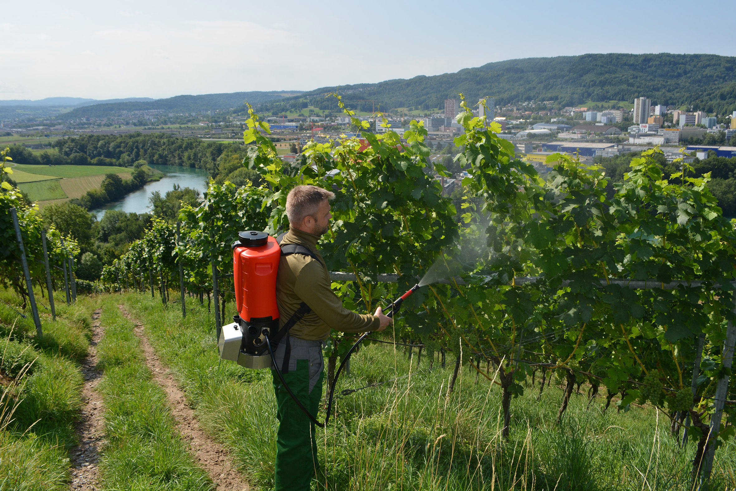 Akku-Rückensprühgerät REX 15 mit starkem Lithium-Ionen-Akku und stufenlosen Arbeitsdruck bis 10 bar