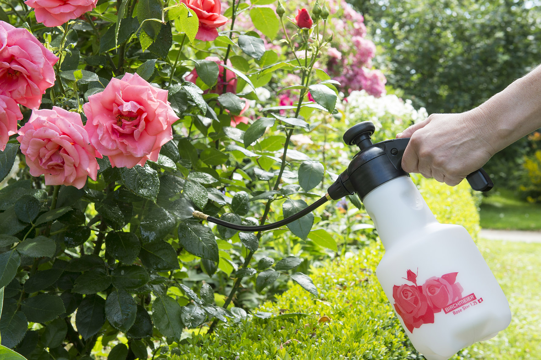 Sprühgerät Rose Star 1.25 von Birchmeier mit Verlängerung für Rosen und Buchs